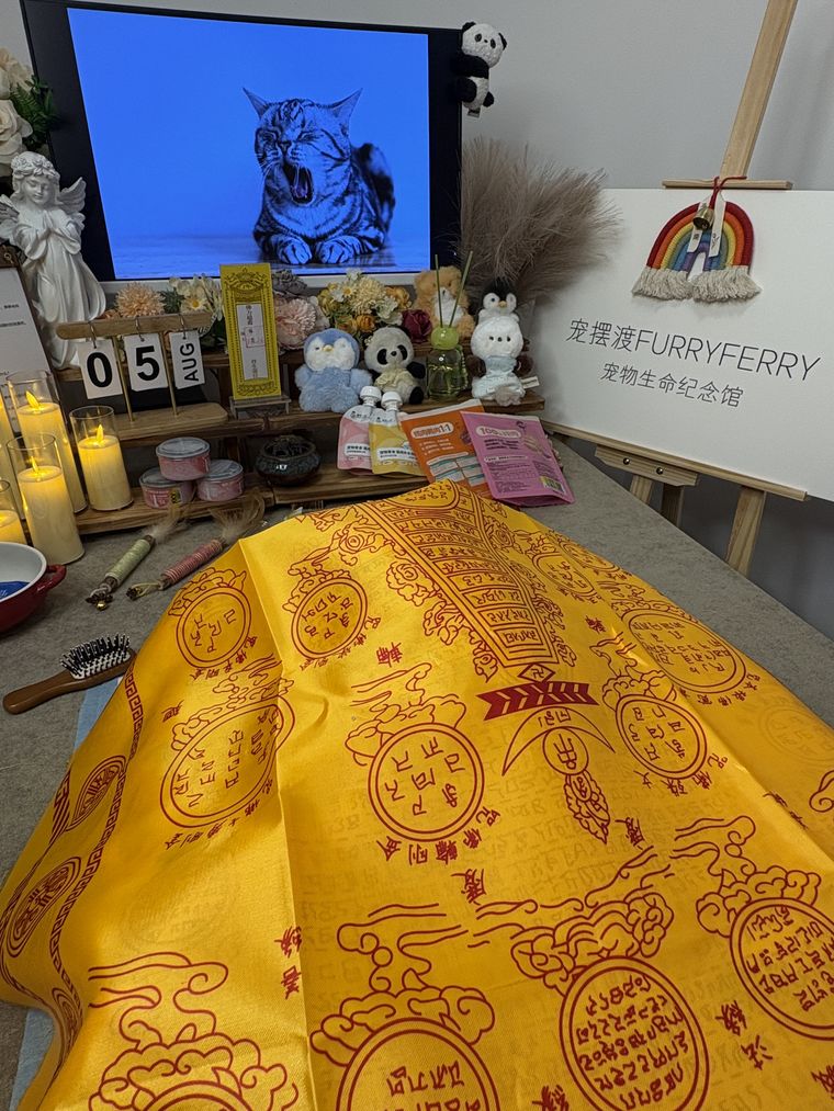 哈尔滨宠物火化全流程拆解：一枚骨灰需要多久